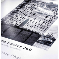 Photo Silk Baryta X 310