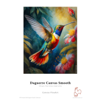 Daguerre Canvas Smooth