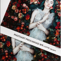 Photo Lustre Premium RC 310 g/m²